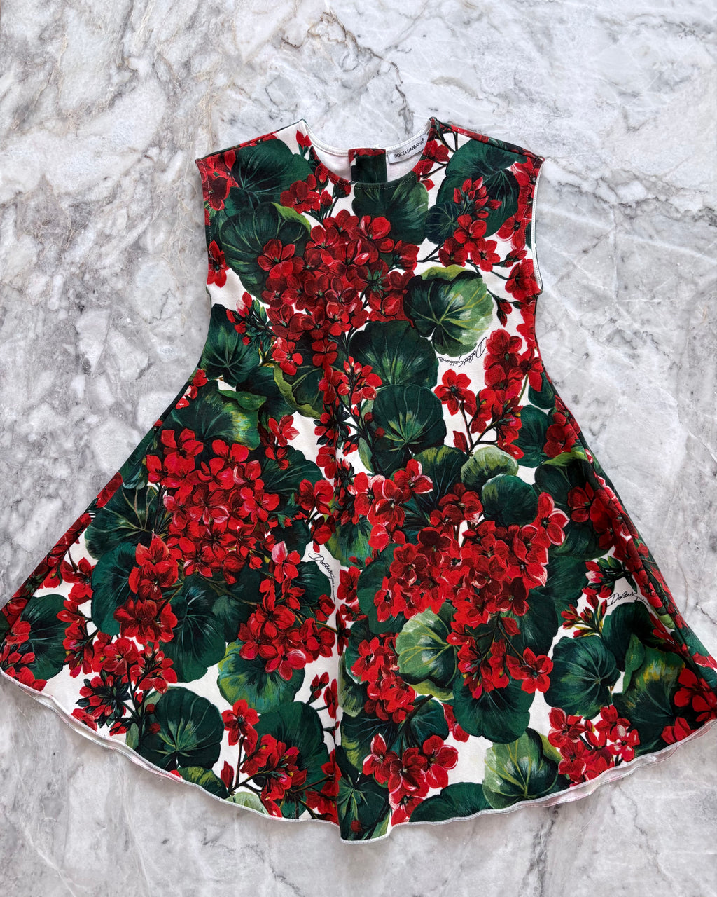 Dolce & Gabbana Kids Floral Cotton Dress with Diaper Cover, Red & Green