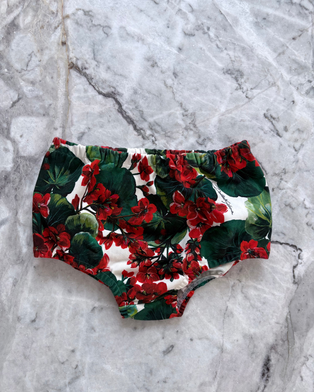 Dolce & Gabbana Kids Floral Cotton Dress with Diaper Cover, Red & Green