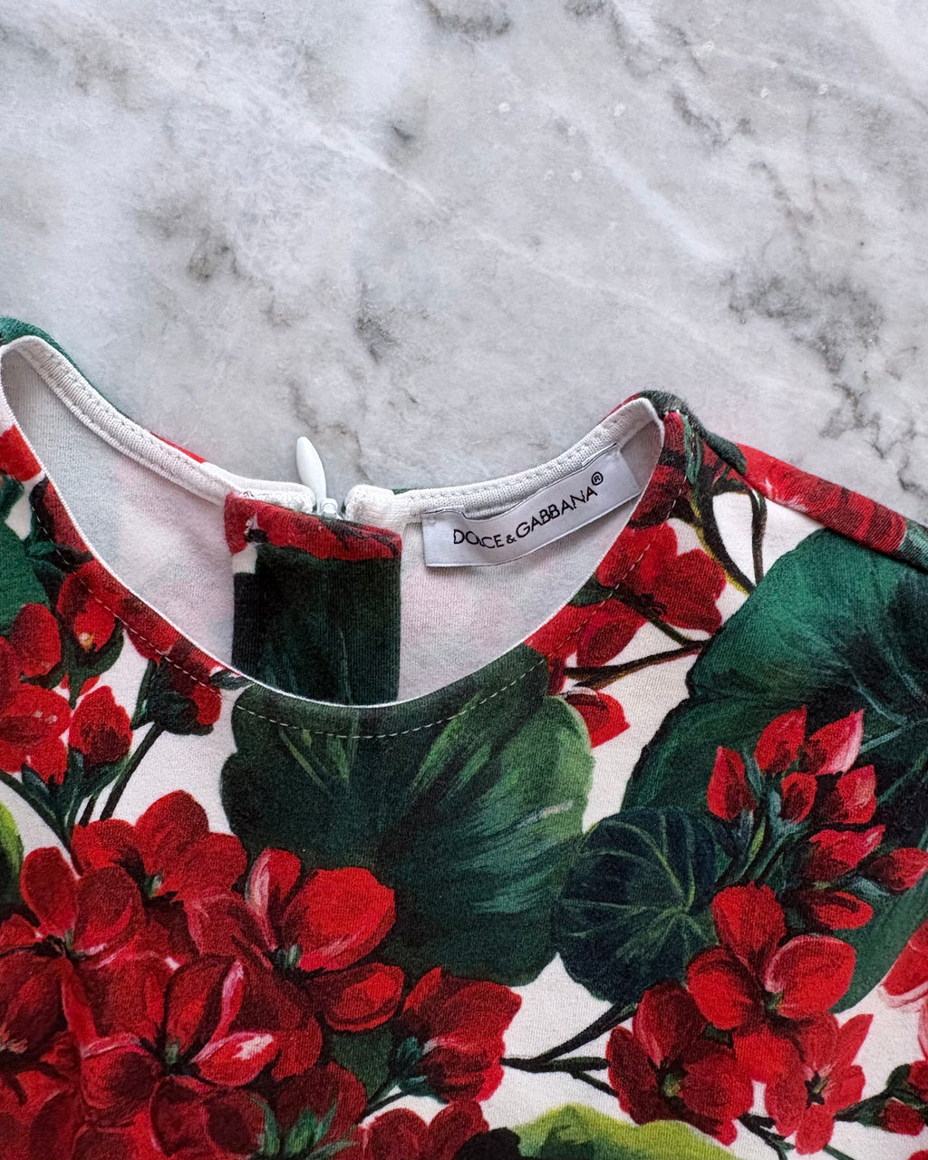 Dolce & Gabbana Kids Floral Cotton Dress with Diaper Cover, Red & Green