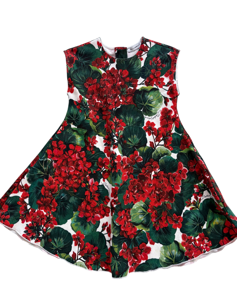 Dress with red floral pattern on a white background