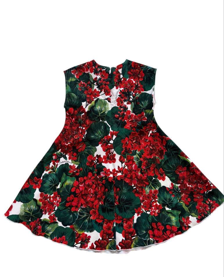 Dolce & Gabbana Kids Floral Cotton Dress with Diaper Cover, Red & Green