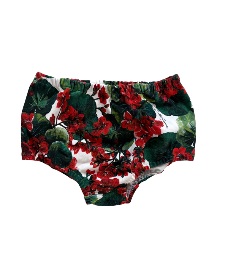 Dolce & Gabbana Kids Floral Cotton Dress with Diaper Cover, Red & Green