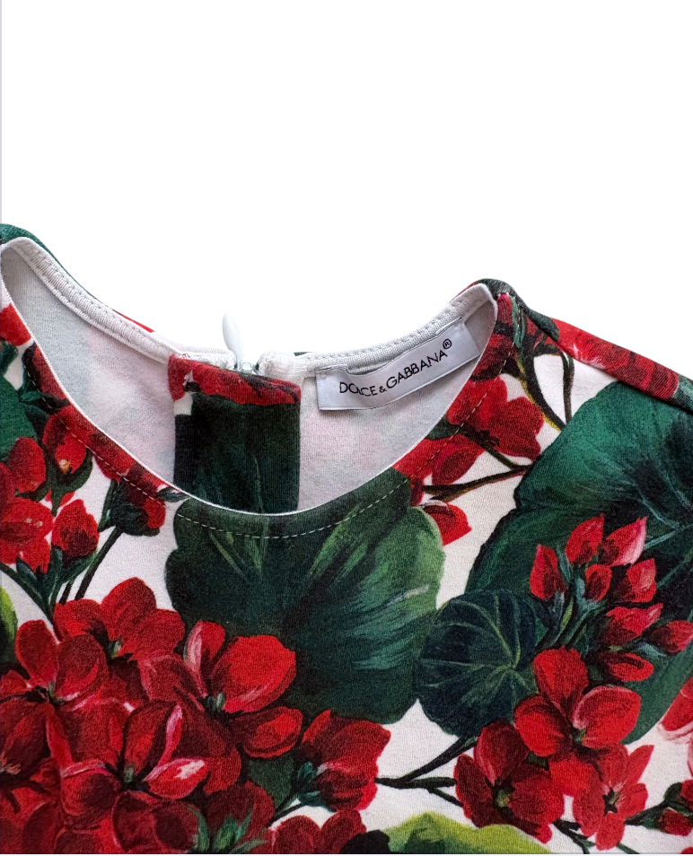 Dolce & Gabbana Kids Floral Cotton Dress with Diaper Cover, Red & Green